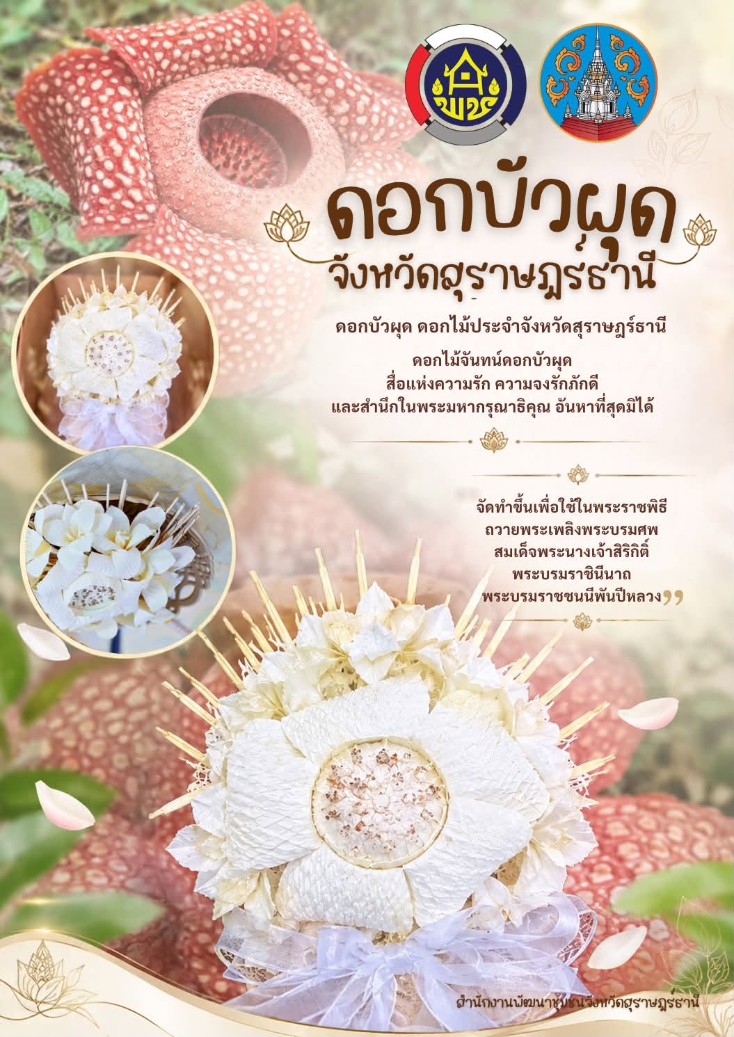 “ดอกบัวผุด ดอกไม้แห่งความจงรักภักดี”  สำนักงานพัฒนาชุมชนจังหวัดสุราษฎร์ธานี ร่วมกับภาคีเครือข่าย กลุ่มสตรี และประชาชนจังหวัดสุราษฎร์ธานี ร่วมประดิษฐ์ดอกไม้จันทน์ดอกบัวผุด ดอกไม้ประจำจังหวัดสุราษฎร์ธานี ด้วยความประณีต ตั้งใจ และเปี่ยมด้วยความจงรักภักดี เพื่อใช้ในพระราชพิธีถวายพระเพลิงพระบรมศพ สมเด็จพระนางเจ้าสิริกิติ์พระบรมราชินีนาถ พระบรมราชชนนีพันปีหลวง อันเป็นการน้อมถวายความอาลัย และแสดงความสำนึกในพระมหากรุณาธิคุณอย่างหาที่สุดมิได้ ด้วยความจงรักภักดีและความอาลัยอย่างสุดซึ้ง